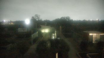 Weather camera view of Houston Botanic Garden.