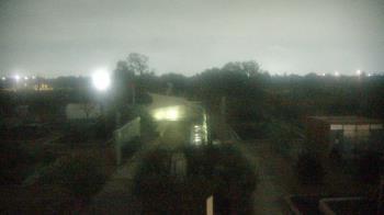 Weather camera view of Houston Botanic Garden.