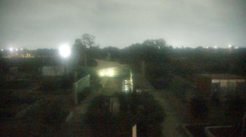 Weather camera view of Houston Botanic Garden.