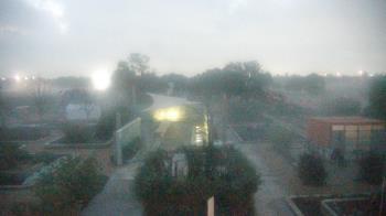 Weather camera view of Houston Botanic Garden.