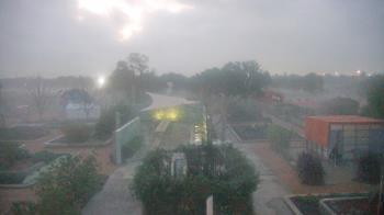 Weather camera view of Houston Botanic Garden.