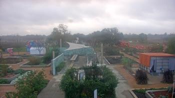 Weather camera view of Houston Botanic Garden.