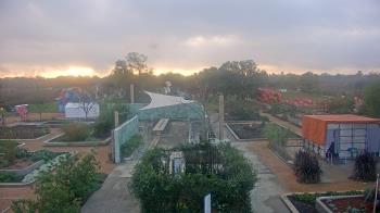 Weather camera view of Houston Botanic Garden.