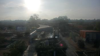 Weather camera view of Houston Botanic Garden.