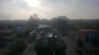 Weather camera view of Houston Botanic Garden.