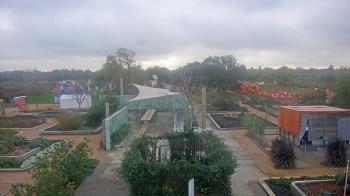 Weather camera view of Houston Botanic Garden.