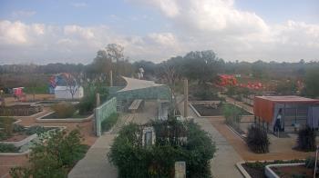 Weather camera view of Houston Botanic Garden.