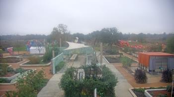 Weather camera view of Houston Botanic Garden.