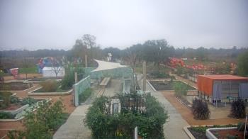 Weather camera view of Houston Botanic Garden.
