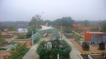Weather camera view of Houston Botanic Garden.