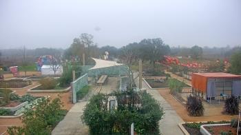 Weather camera view of Houston Botanic Garden.