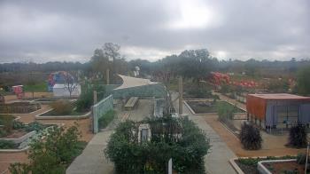 Weather camera view of Houston Botanic Garden.