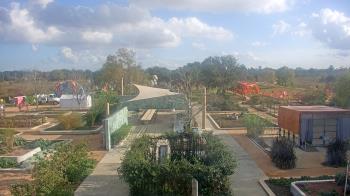Weather camera view of Houston Botanic Garden.