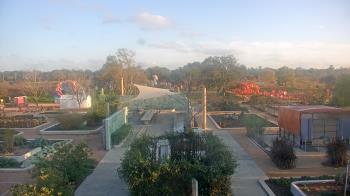 Weather camera view of Houston Botanic Garden.