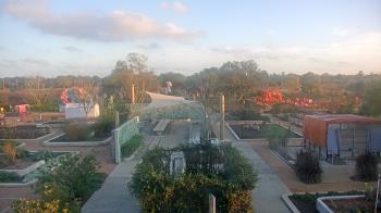 Weather camera view of Houston Botanic Garden.