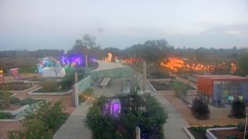 Weather camera view of Houston Botanic Garden.
