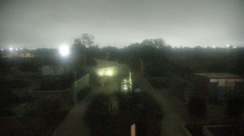 Weather camera view of Houston Botanic Garden.