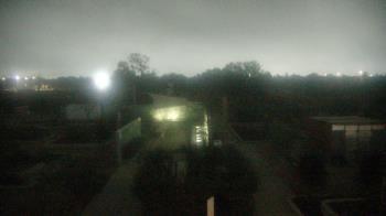 Weather camera view of Houston Botanic Garden.