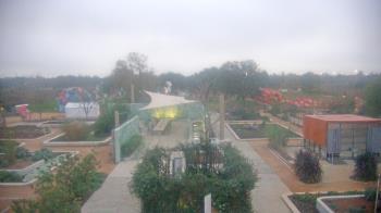 Weather camera view of Houston Botanic Garden.
