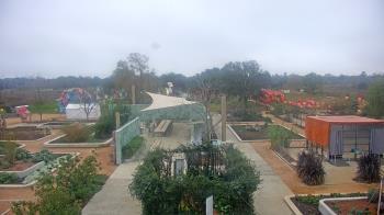 Weather camera view of Houston Botanic Garden.