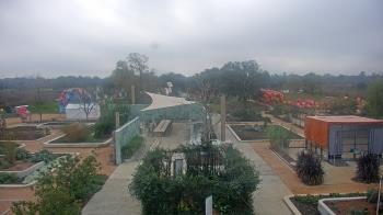 Weather camera view of Houston Botanic Garden.