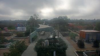 Weather camera view of Houston Botanic Garden.