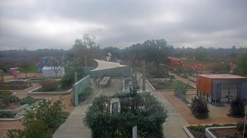 Weather camera view of Houston Botanic Garden.