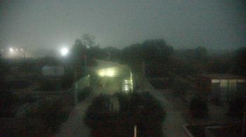 Weather camera view of Houston Botanic Garden.