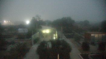 Weather camera view of Houston Botanic Garden.