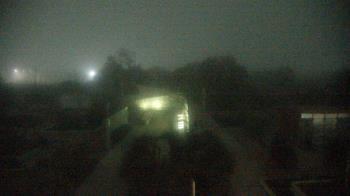Weather camera view of Houston Botanic Garden.