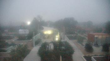 Weather camera view of Houston Botanic Garden.