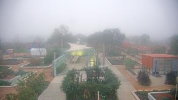 Weather camera view of Houston Botanic Garden.