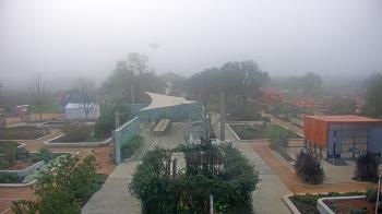 Weather camera view of Houston Botanic Garden.