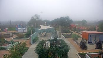 Weather camera view of Houston Botanic Garden.