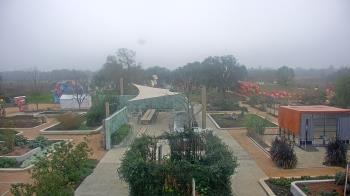 Weather camera view of Houston Botanic Garden.