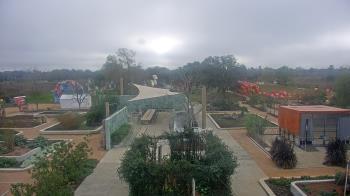 Weather camera view of Houston Botanic Garden.