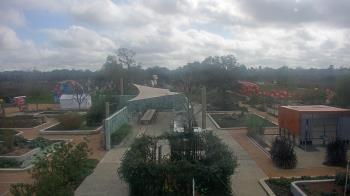 Weather camera view of Houston Botanic Garden.