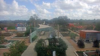 Weather camera view of Houston Botanic Garden.