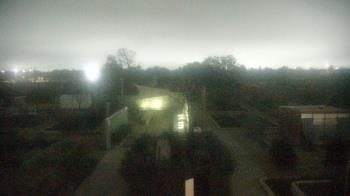 Weather camera view of Houston Botanic Garden.