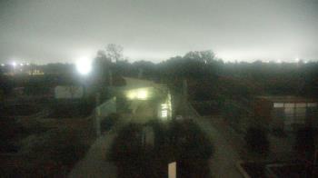 Weather camera view of Houston Botanic Garden.