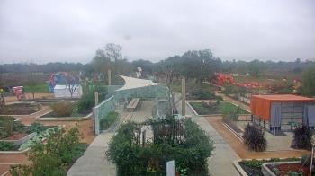Weather camera view of Houston Botanic Garden.