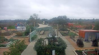 Weather camera view of Houston Botanic Garden.