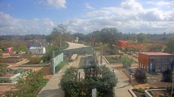 Weather camera view of Houston Botanic Garden.