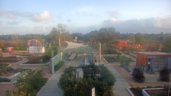 Weather camera view of Houston Botanic Garden.