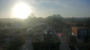 Weather camera view of Houston Botanic Garden.
