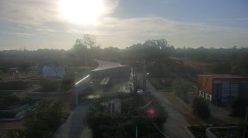 Weather camera view of Houston Botanic Garden.
