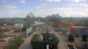 Weather camera view of Houston Botanic Garden.