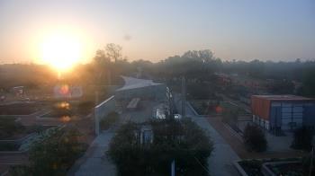 Weather camera view of Houston Botanic Garden.