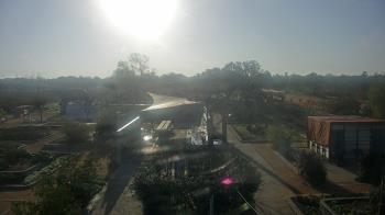 Weather camera view of Houston Botanic Garden.