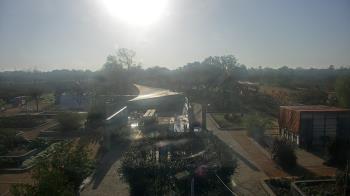 Weather camera view of Houston Botanic Garden.